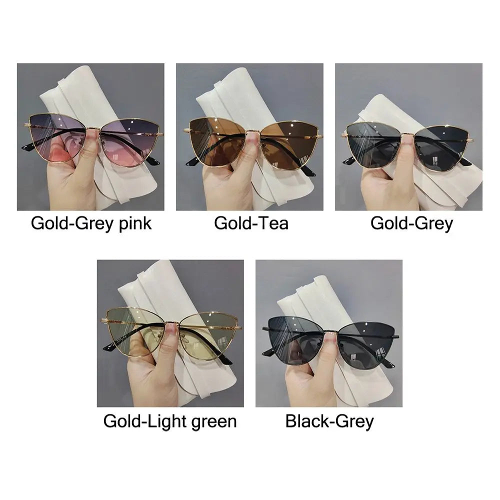 S1ca3a5d8a06a4e1691b51cbaa5a2327ev